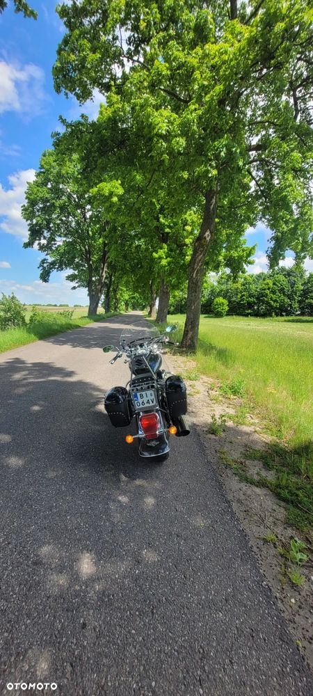 Suzuki VL 800 Volusia - 4