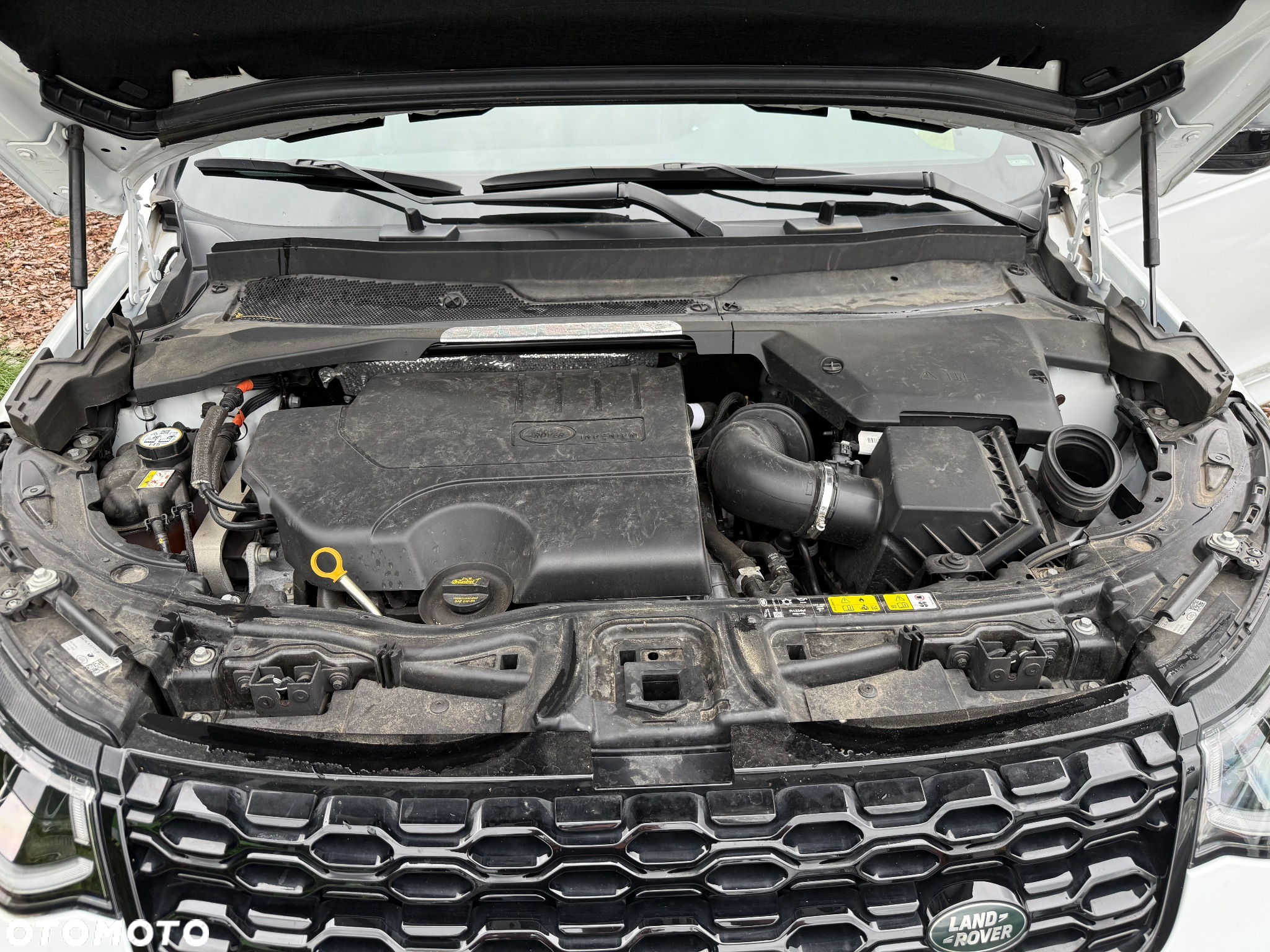 Land Rover Discovery Sport P250 R-Dynamic - 25
