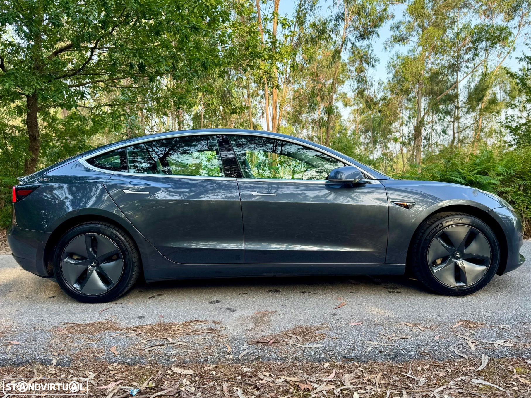 Tesla Model 3 Standard Range Plus RWD - 32