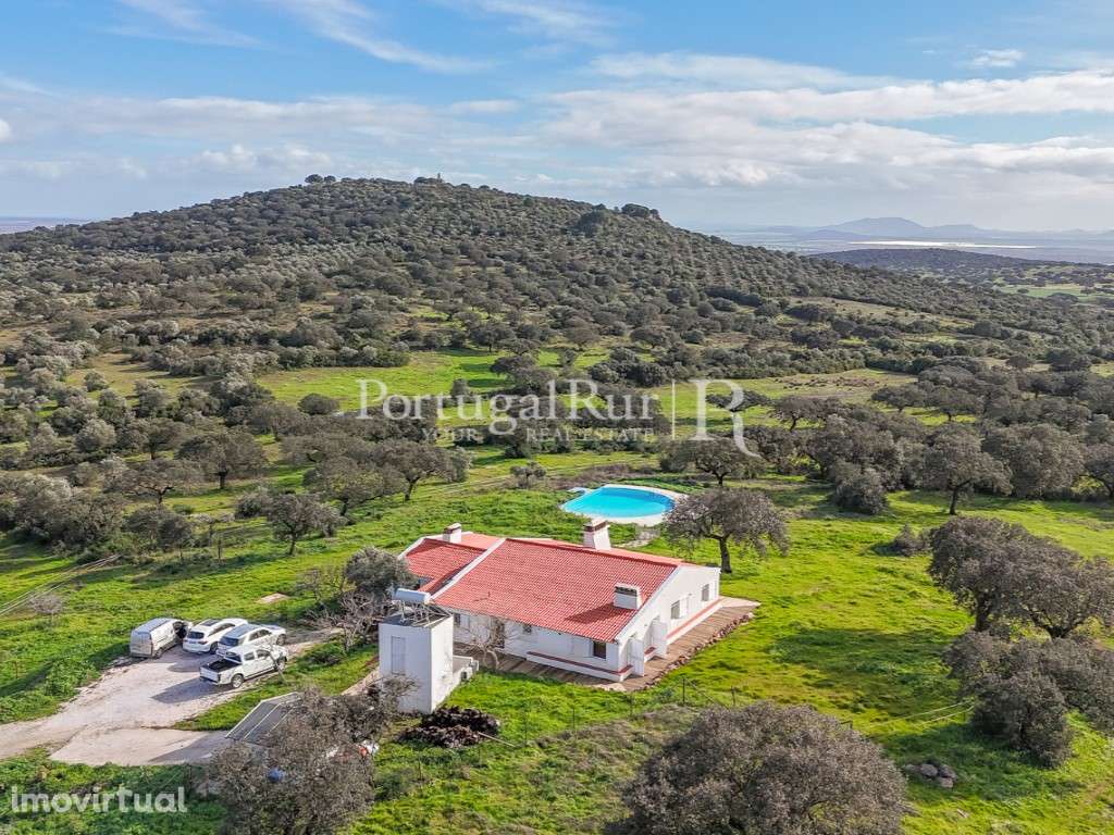 Herdade com 41hectares para criação de cavalos e Alojamento - Grande imagem: 2/60