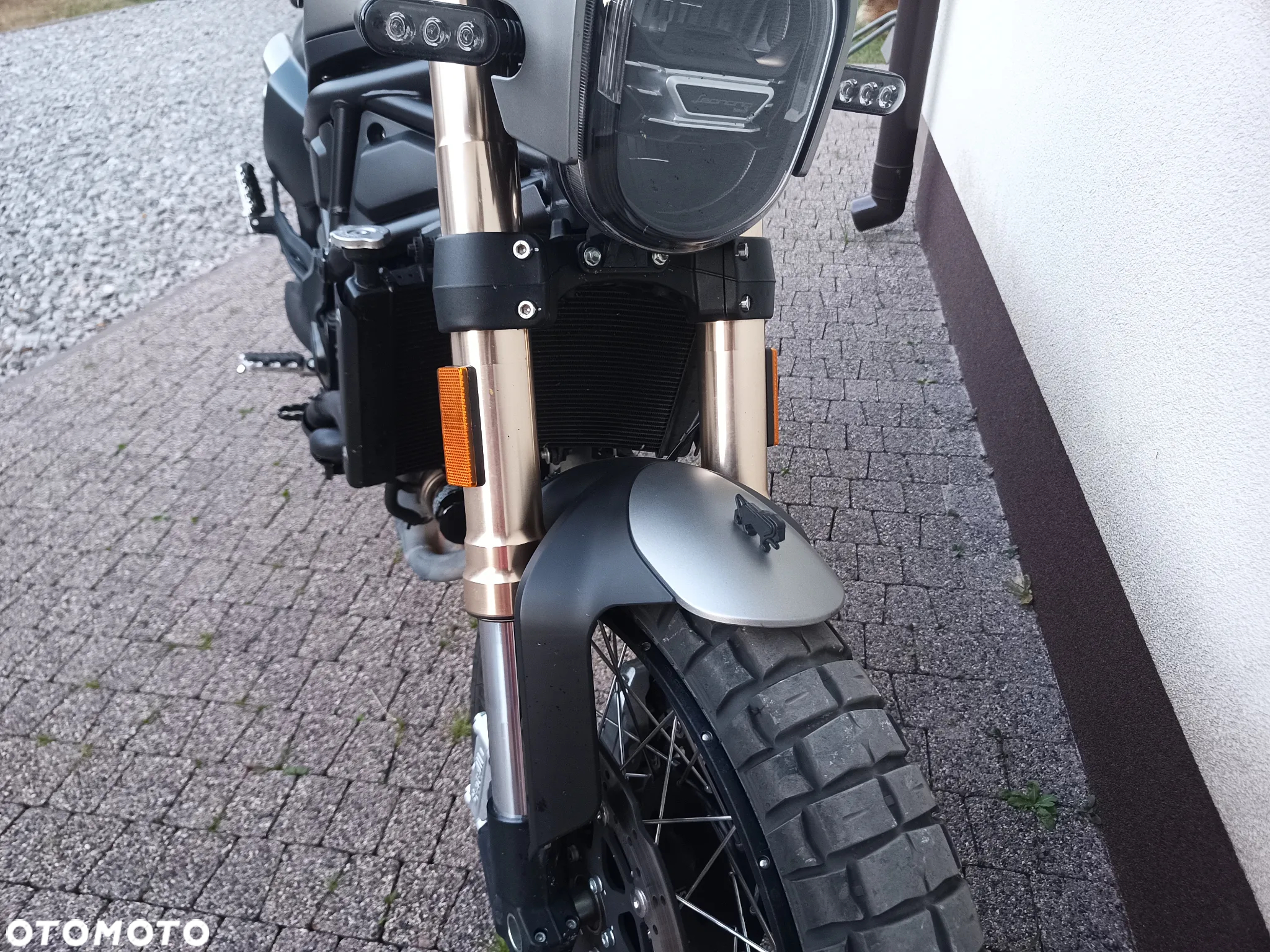 Benelli Leoncino Trail - 8