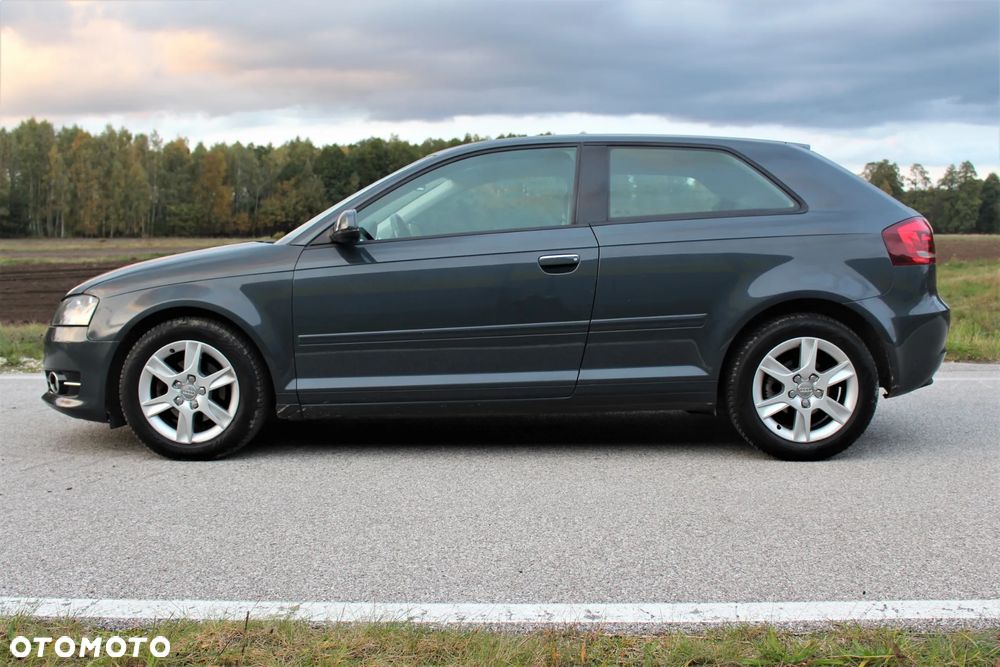 Audi A3 1.6 TDI DPF Attraction - 2