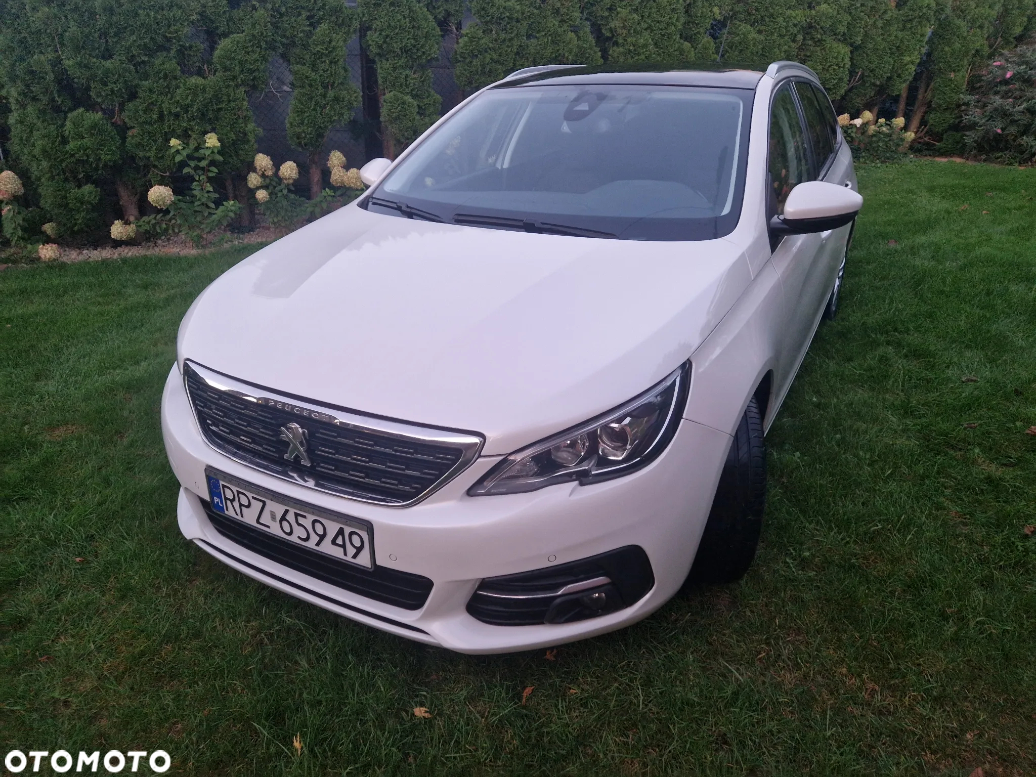 Peugeot 308 SW BlueHDi 120 Stop & Start Active - 20