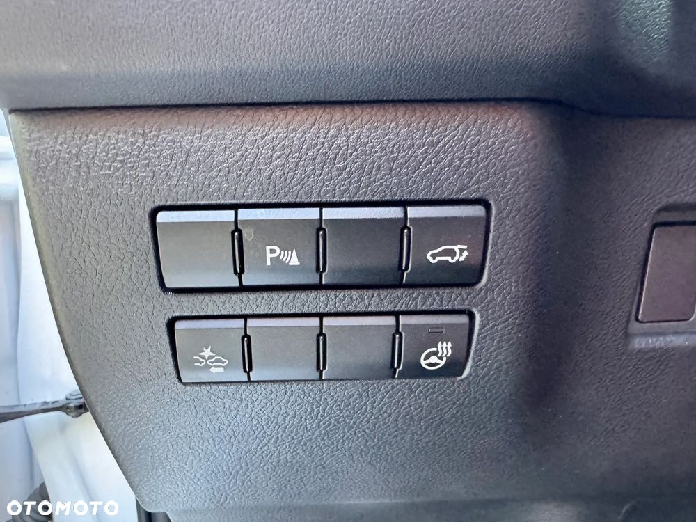 Lexus NX 300h F Sport AWD - 19