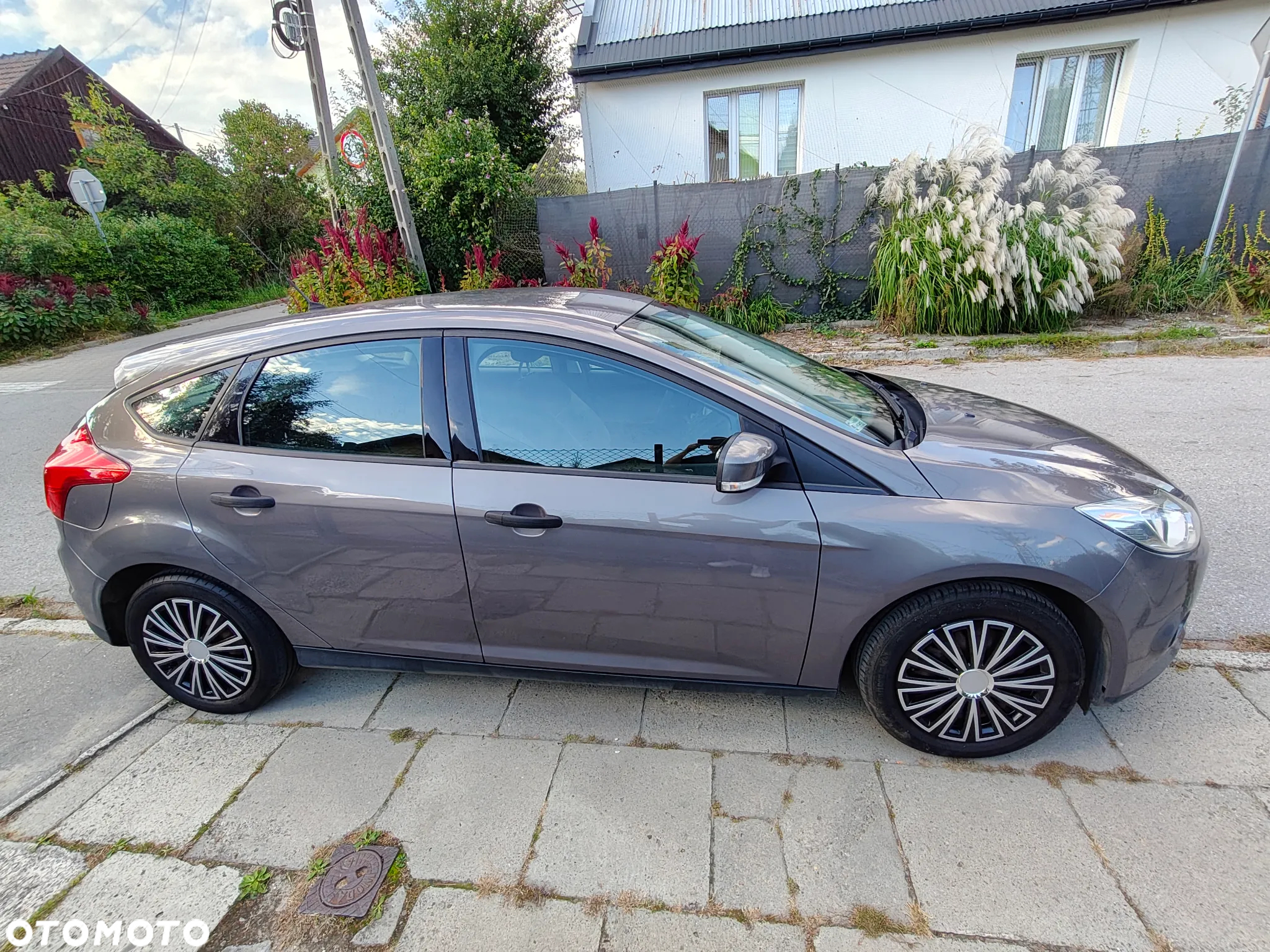 Ford Focus - 2