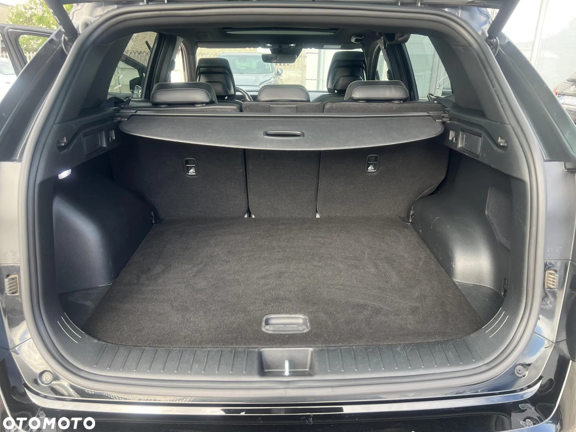 Kia Sportage 1.6 T-GDI MHEV GT Line 4WD DCT - 17