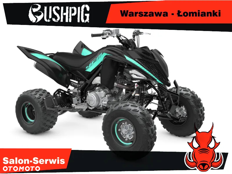 Yamaha Raptor - 5