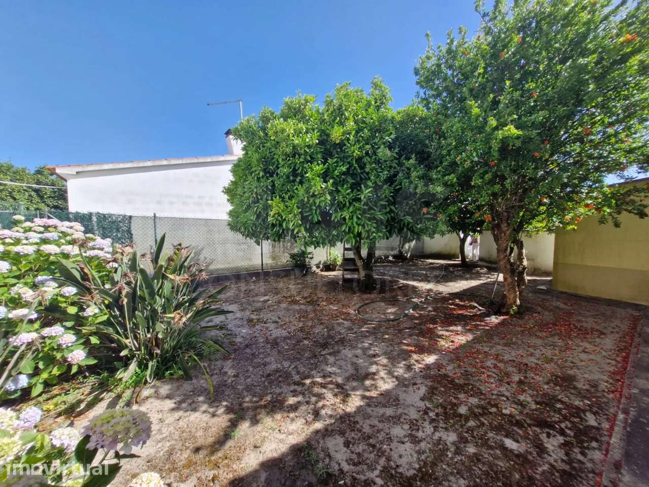 Quintinha com Moradia T2, Anexo/Armazém e Terreno de 1.247 m² em Fo... - Grande imagem: 3/13