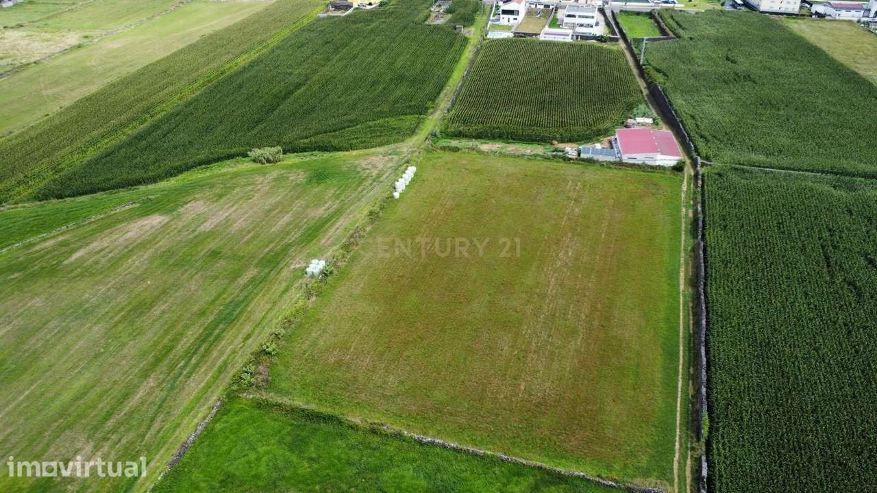 Terreno Agrícola Plano com 6.240 m² | Excelente Exposição Solar | Calh - Grande imagem: 3/5