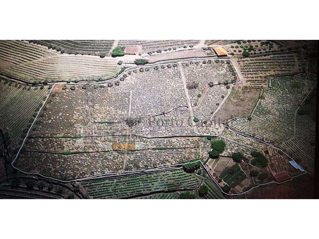 Quinta no Douro com Vista Rio - Grande imagem: 2/26