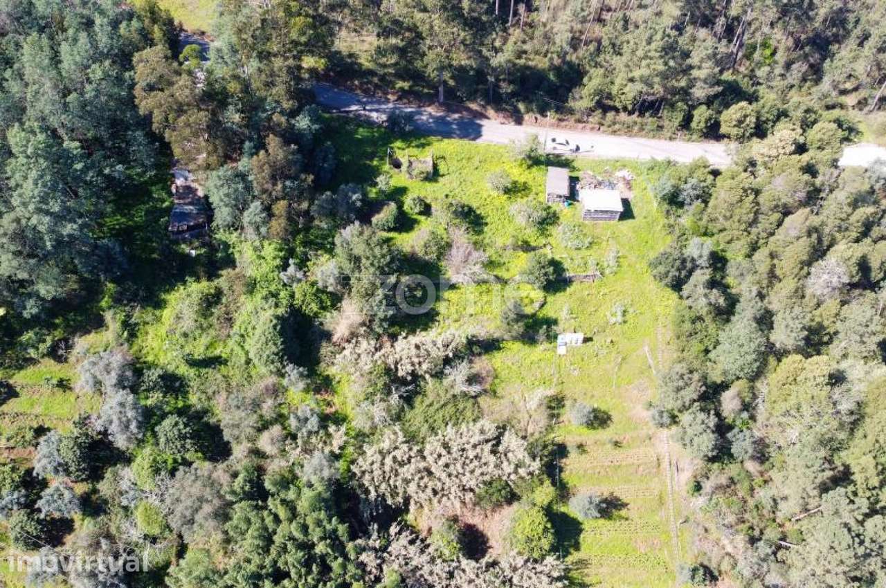 Terreno Urbano com Declive, Moradia de 3 Pisos em São Paulo de Frades - Grande imagem: 3/15