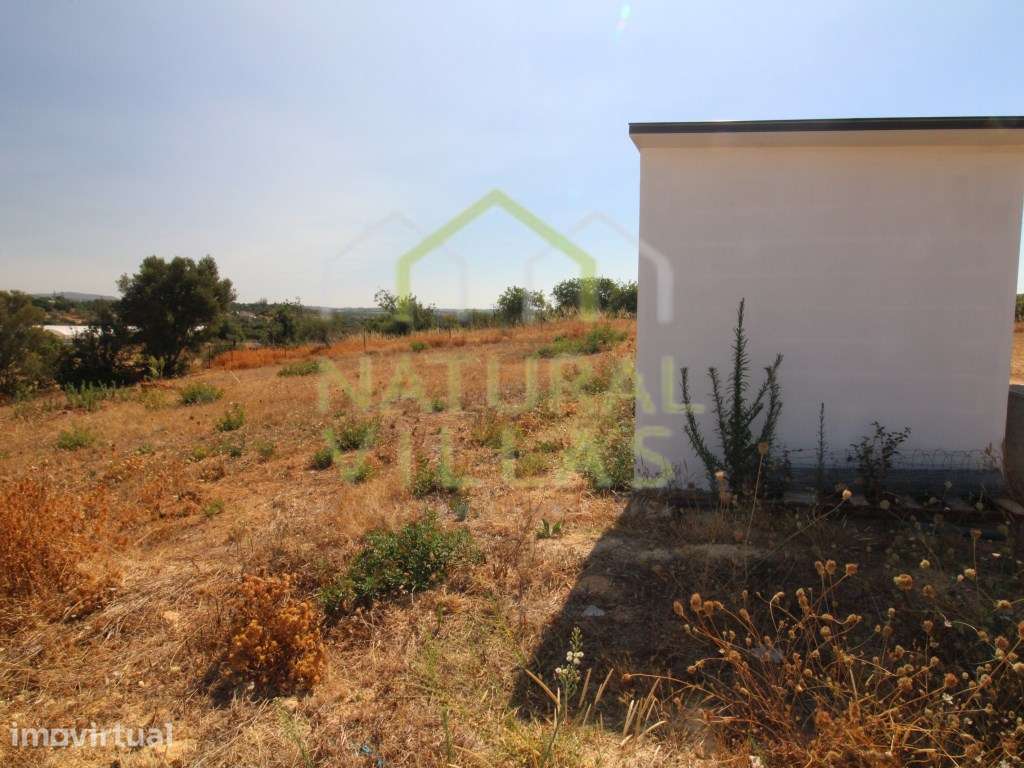 Terreno Rústico Plano em Pechão | Arrendamento - Grande imagem: 2/5
