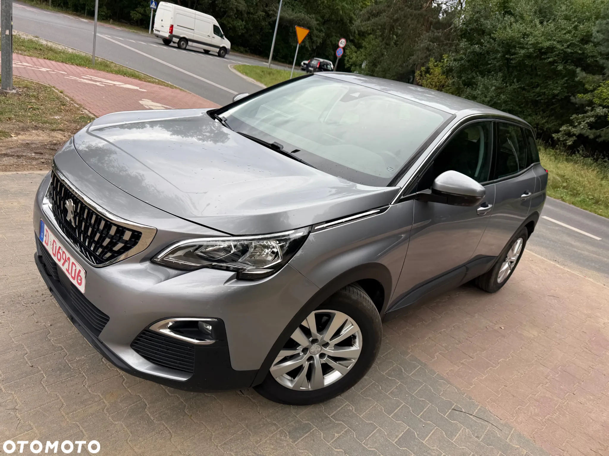 Peugeot 3008 - 18