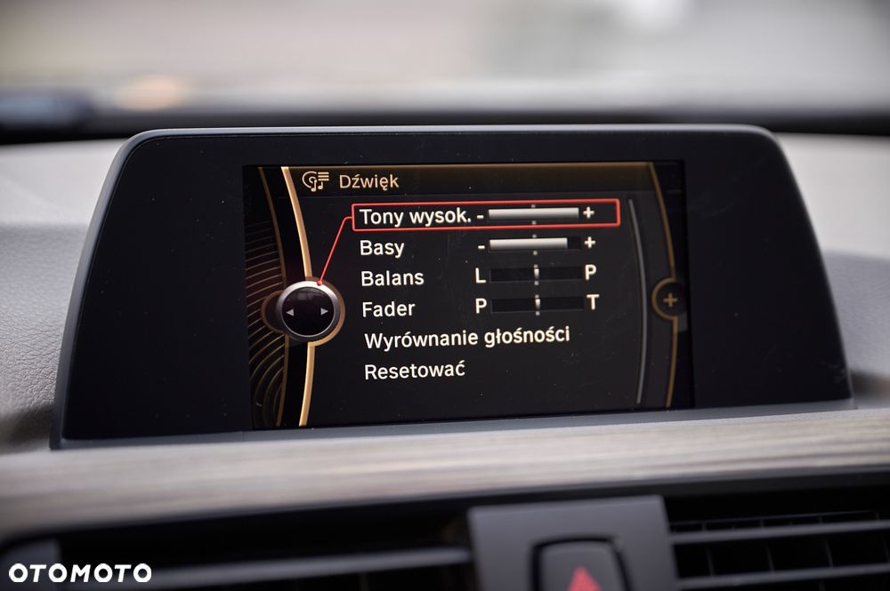 BMW Seria 3 - 39