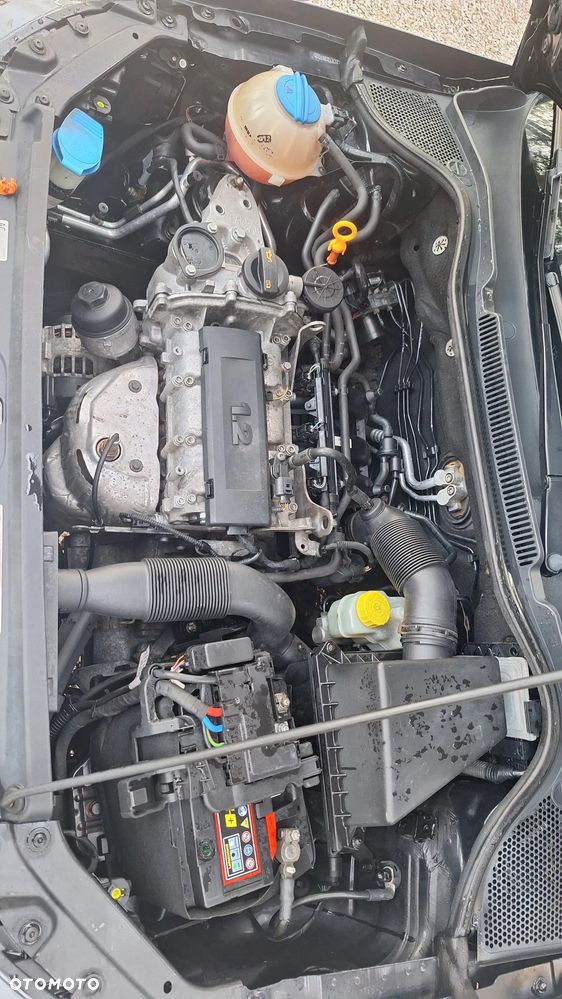Volkswagen Polo - 23