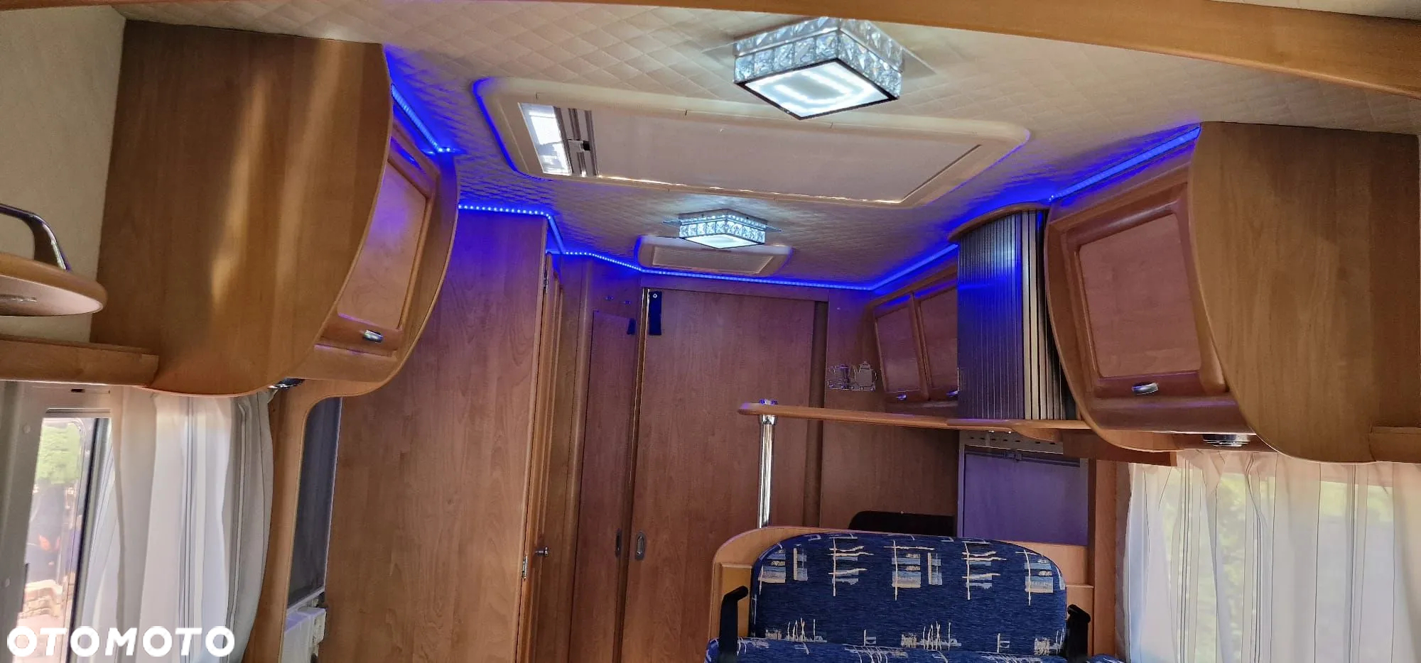 Frankia I 700 - 8