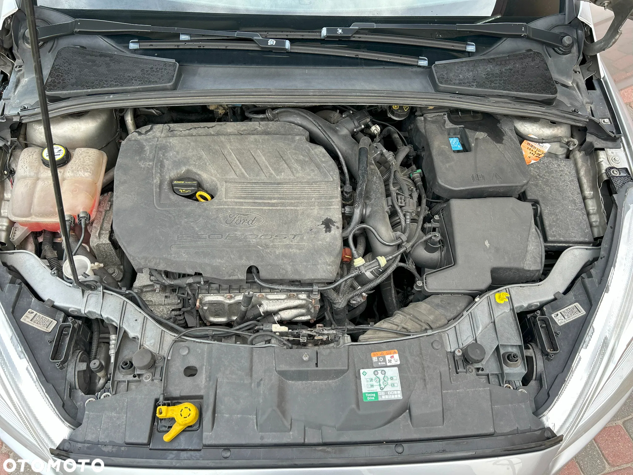 Ford Focus - 14