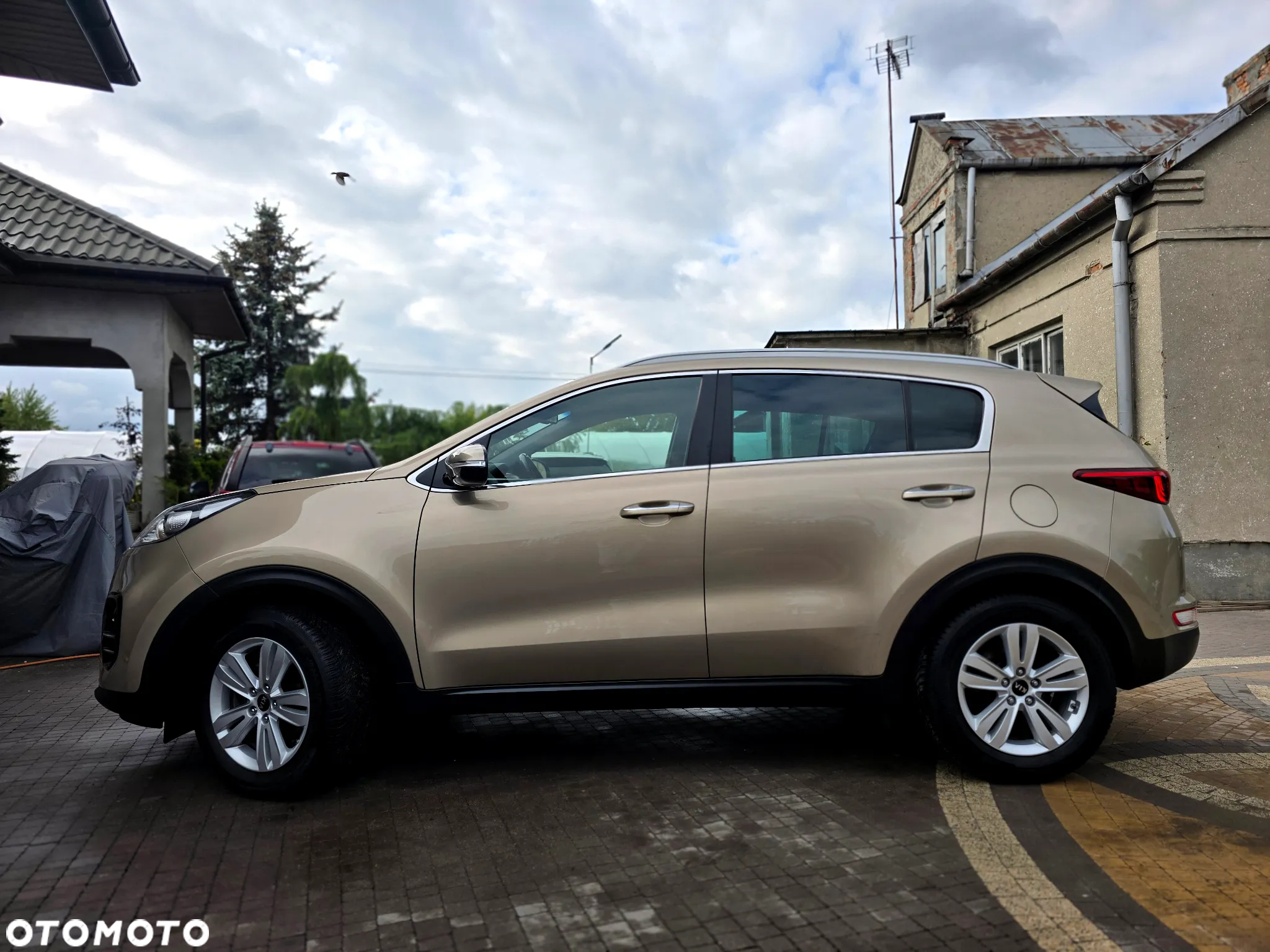 Kia Sportage - 4