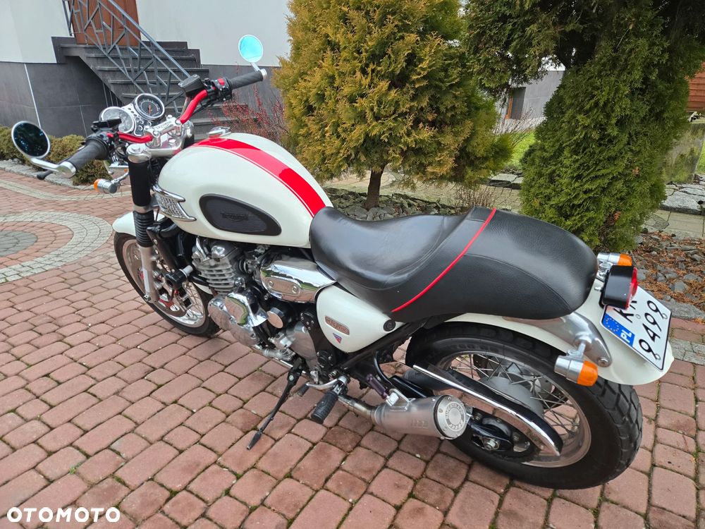 Triumph Thunderbird - 13