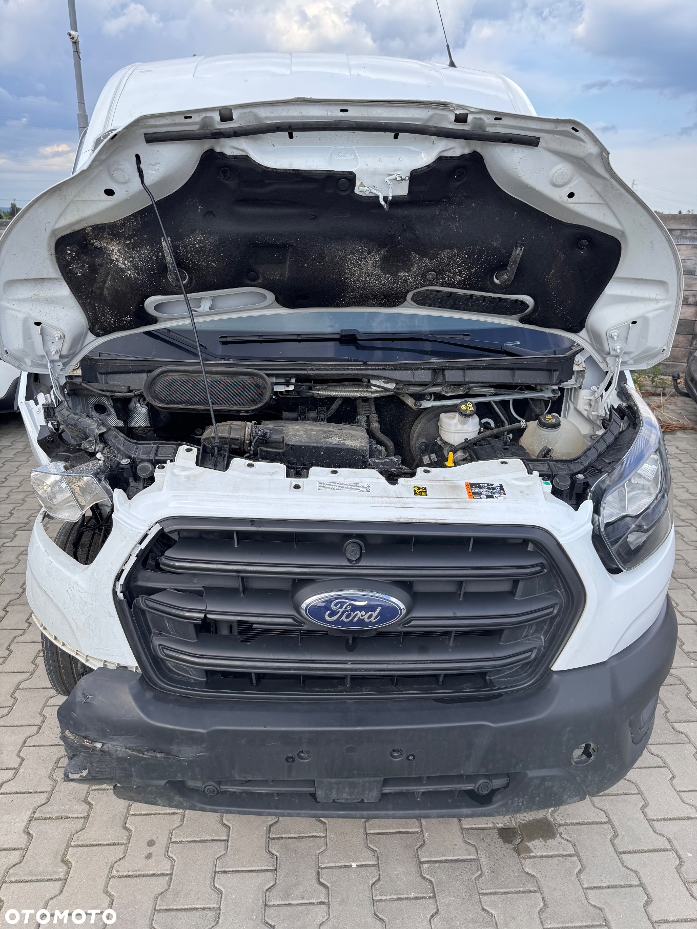 Ford Transit - 19