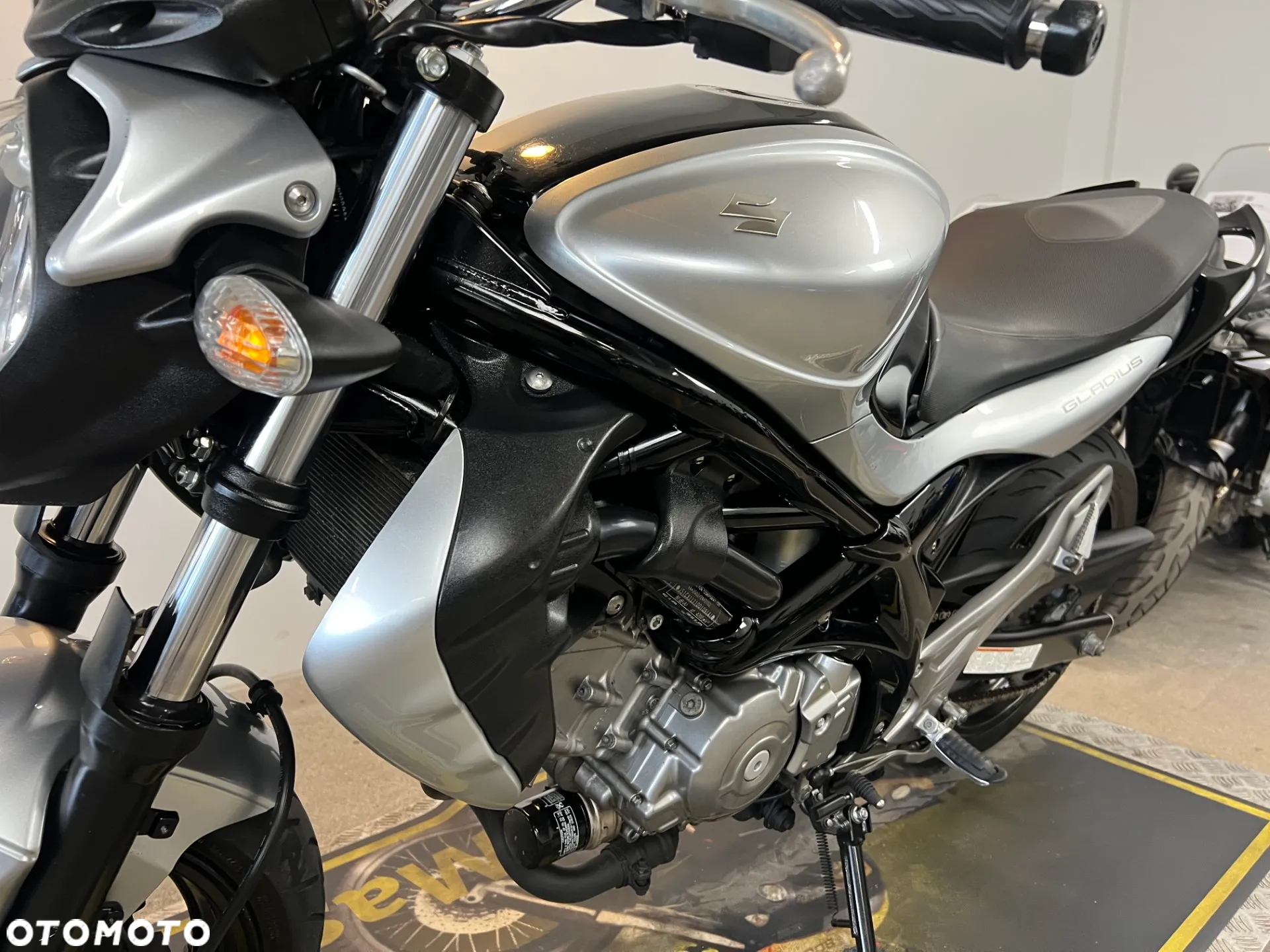 Suzuki Gladius - 23