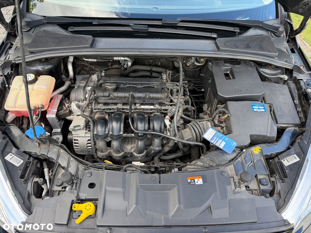 Ford Focus 1.6 TI-VCT Champions Edition - 13