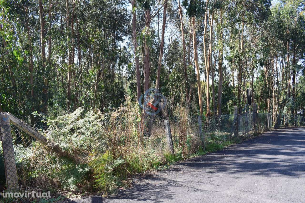 Terreno c/ Viabilidade de Construtiva - Grande imagem: 4/7