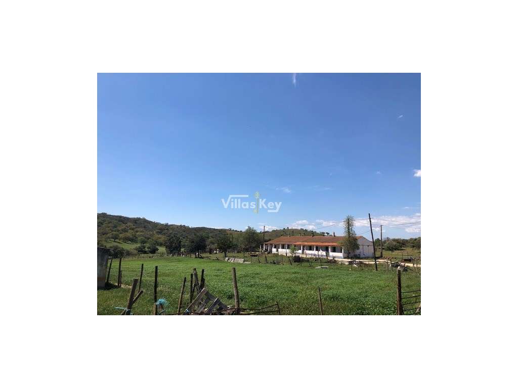 Quinta apta para cultivo e construções turísticas ou rurais a 15km ... - Grande imagem: 2/11