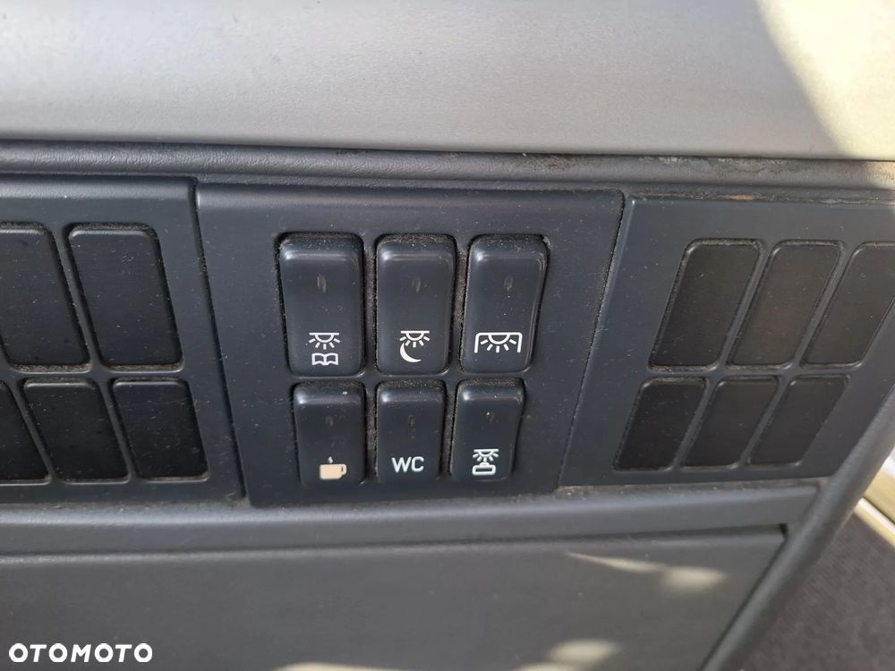 MAN LION'S COACH - 31