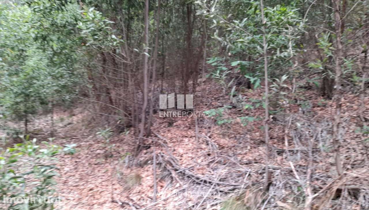 Venda Terreno, Vila Cova, Penafiel - Grande imagem: 5/10