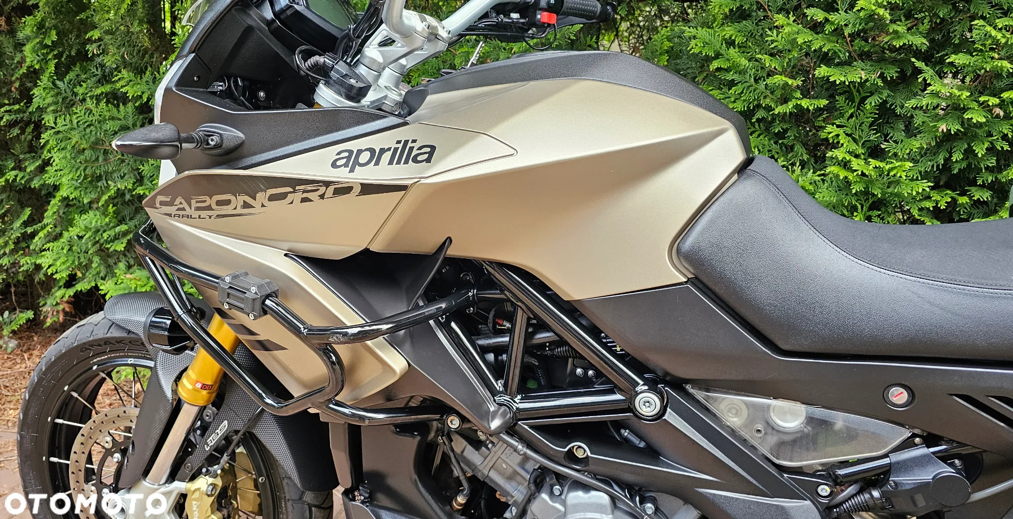 Aprilia Caponord - 17