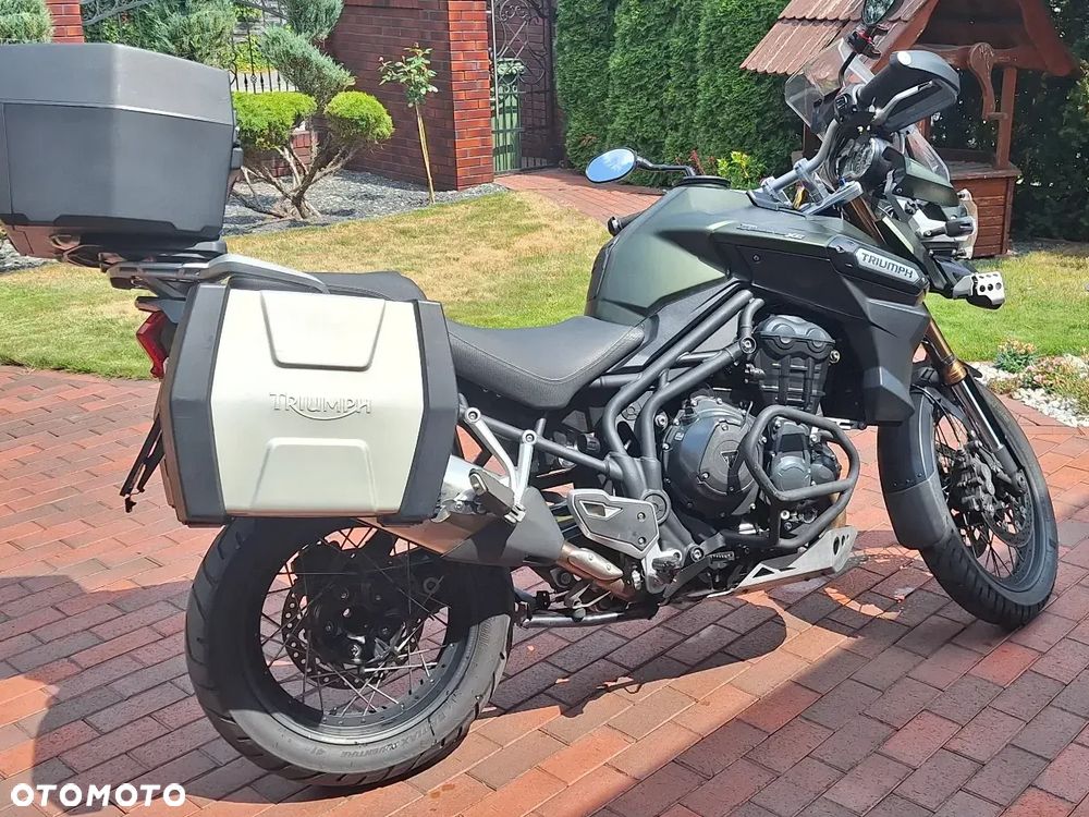 Triumph Tiger - 9