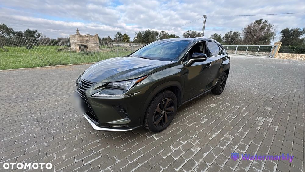 Lexus NX - 2