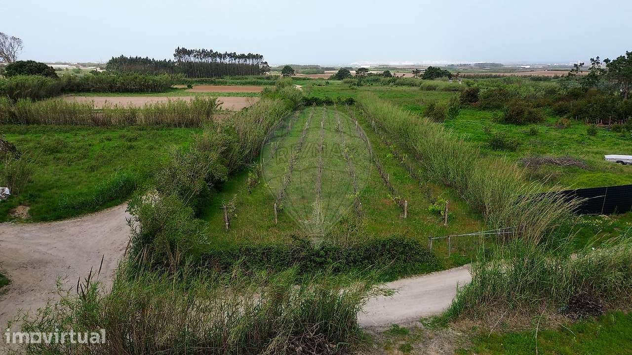 Terreno  para venda - Grande imagem: 2/6