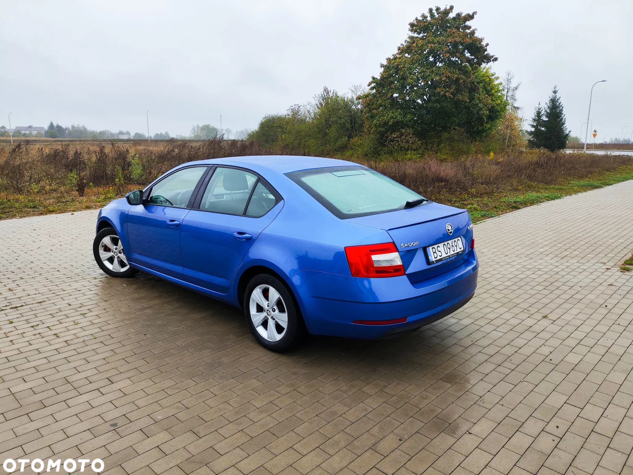 Skoda Octavia - 3
