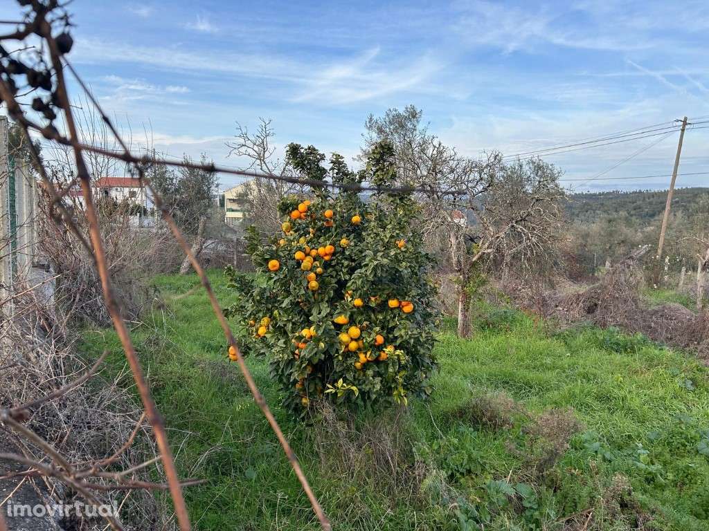 Terreno urbano - Grande imagem: 5/12