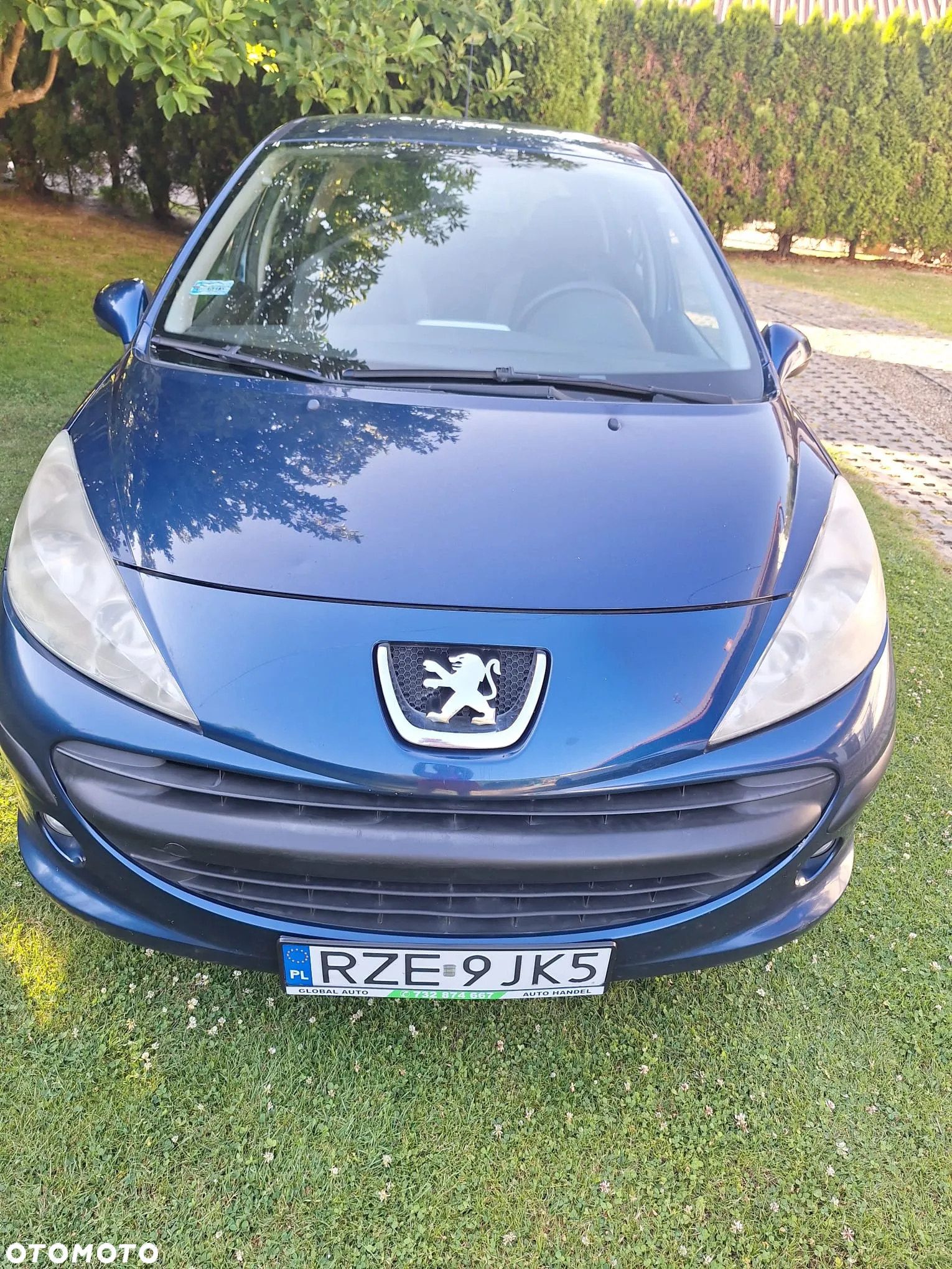 Peugeot 207 - 3