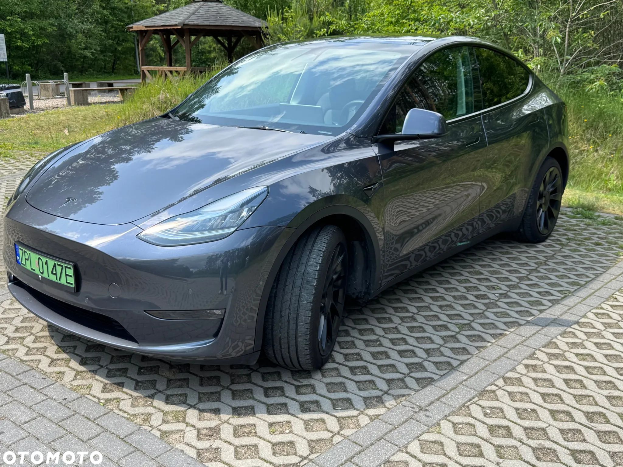 Tesla Y Model Long Range Dual Motor AWD - 1