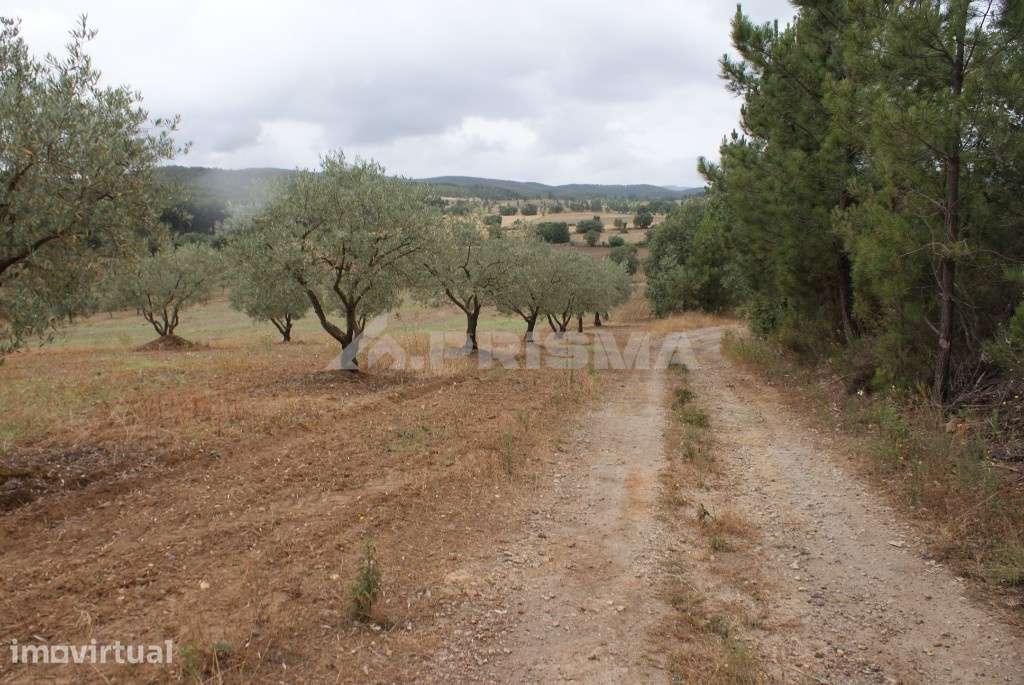 Terreno agrícola para venda - Grande imagem: 2/8