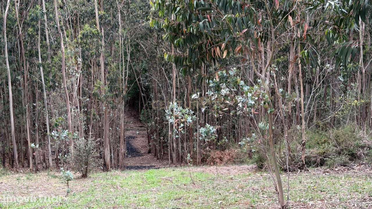 Terreno com 2000m2 -Lagares, Penafiel - Grande imagem: 4/8