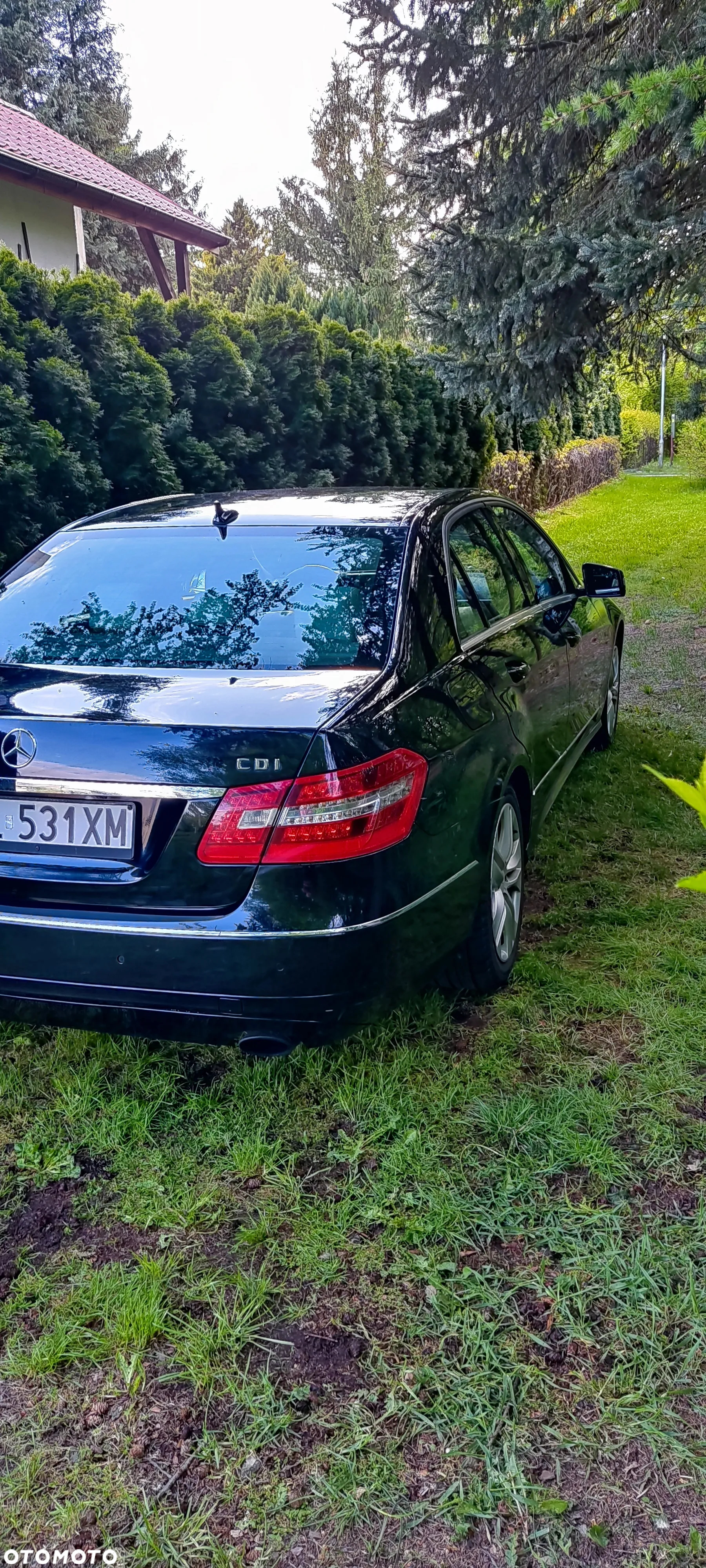 Mercedes-Benz Klasa E 350 CDI BlueEff Avantgarde - 8