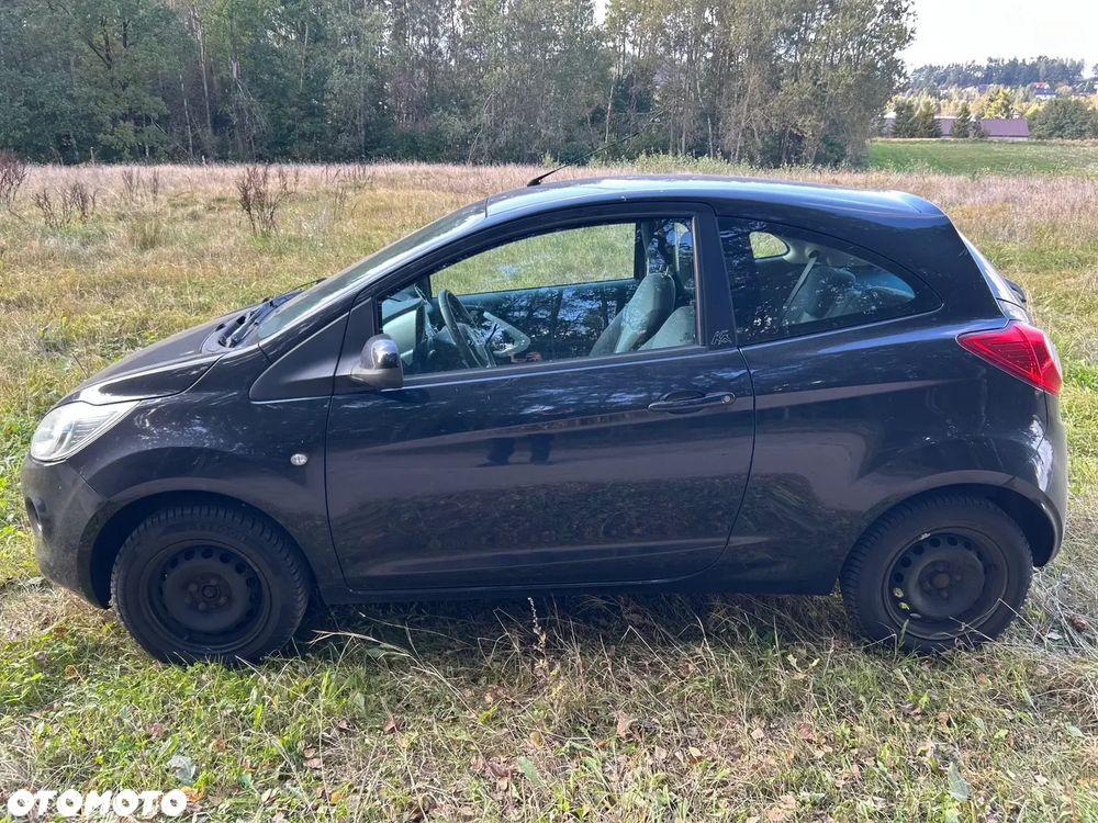 Ford KA - 11