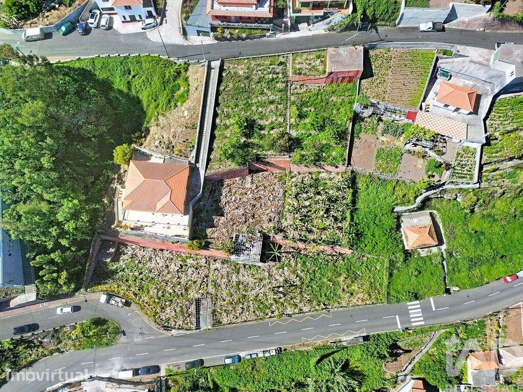 Terreno Agrícola em Câmara de Lobos - Grande imagem: 3/7