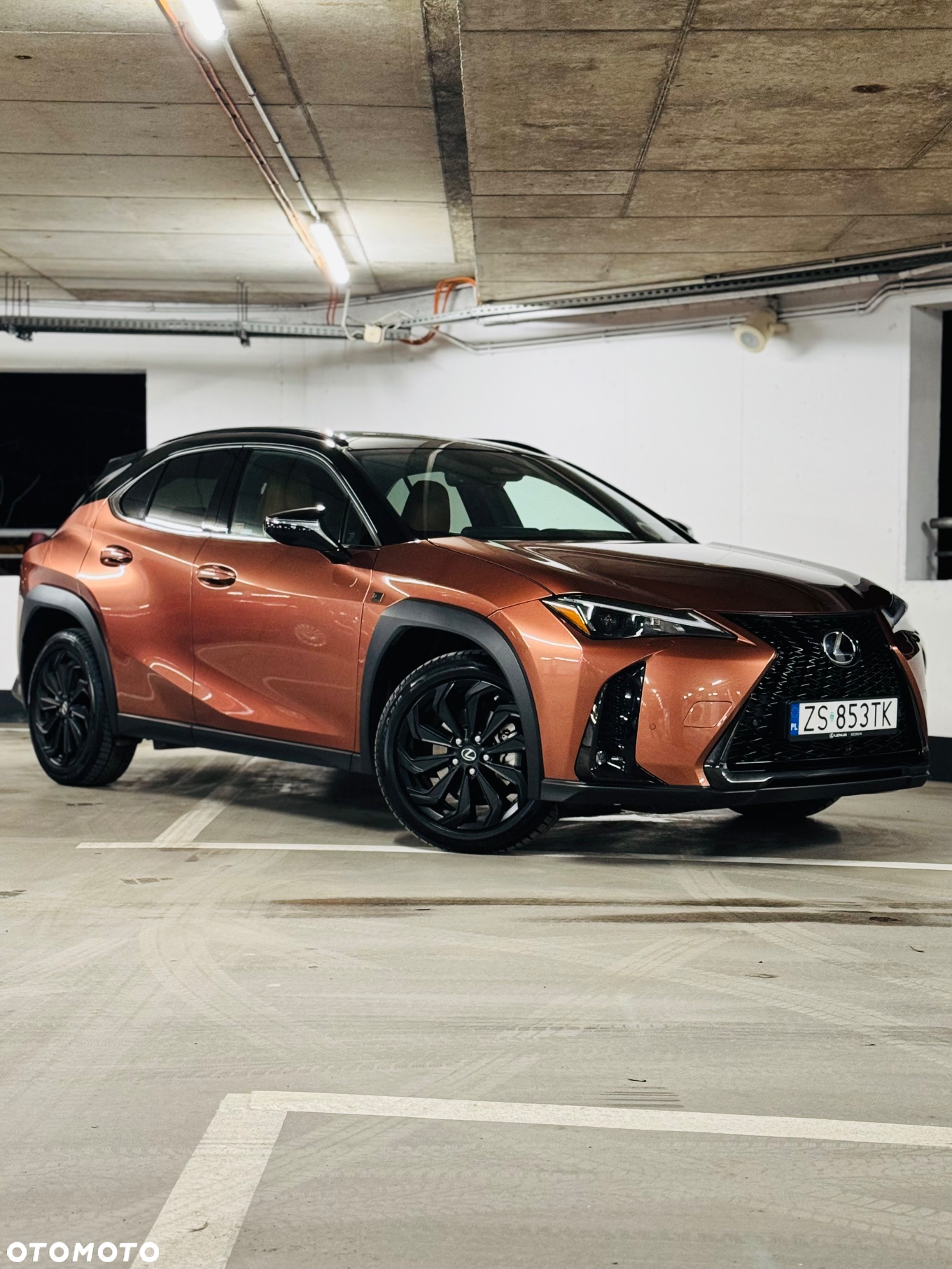 Lexus UX - 8