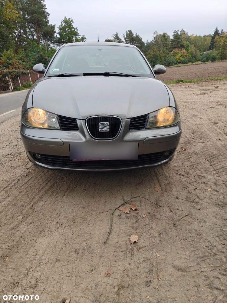 Seat Ibiza - 16
