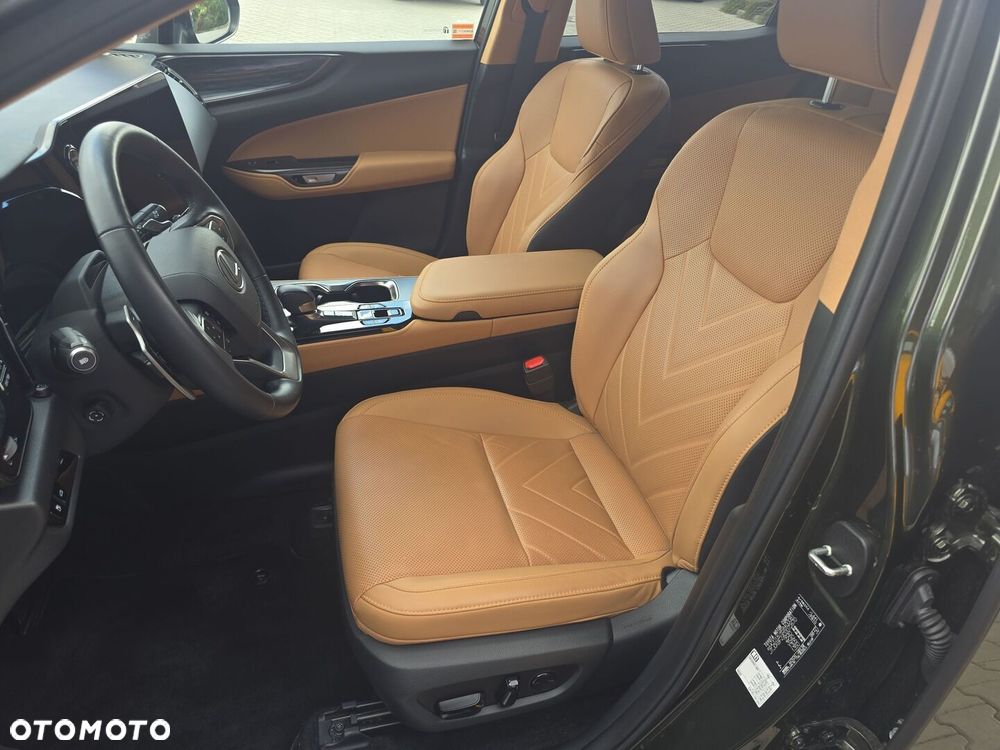Lexus NX - 12