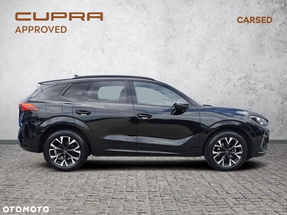 Cupra Terramar - 8