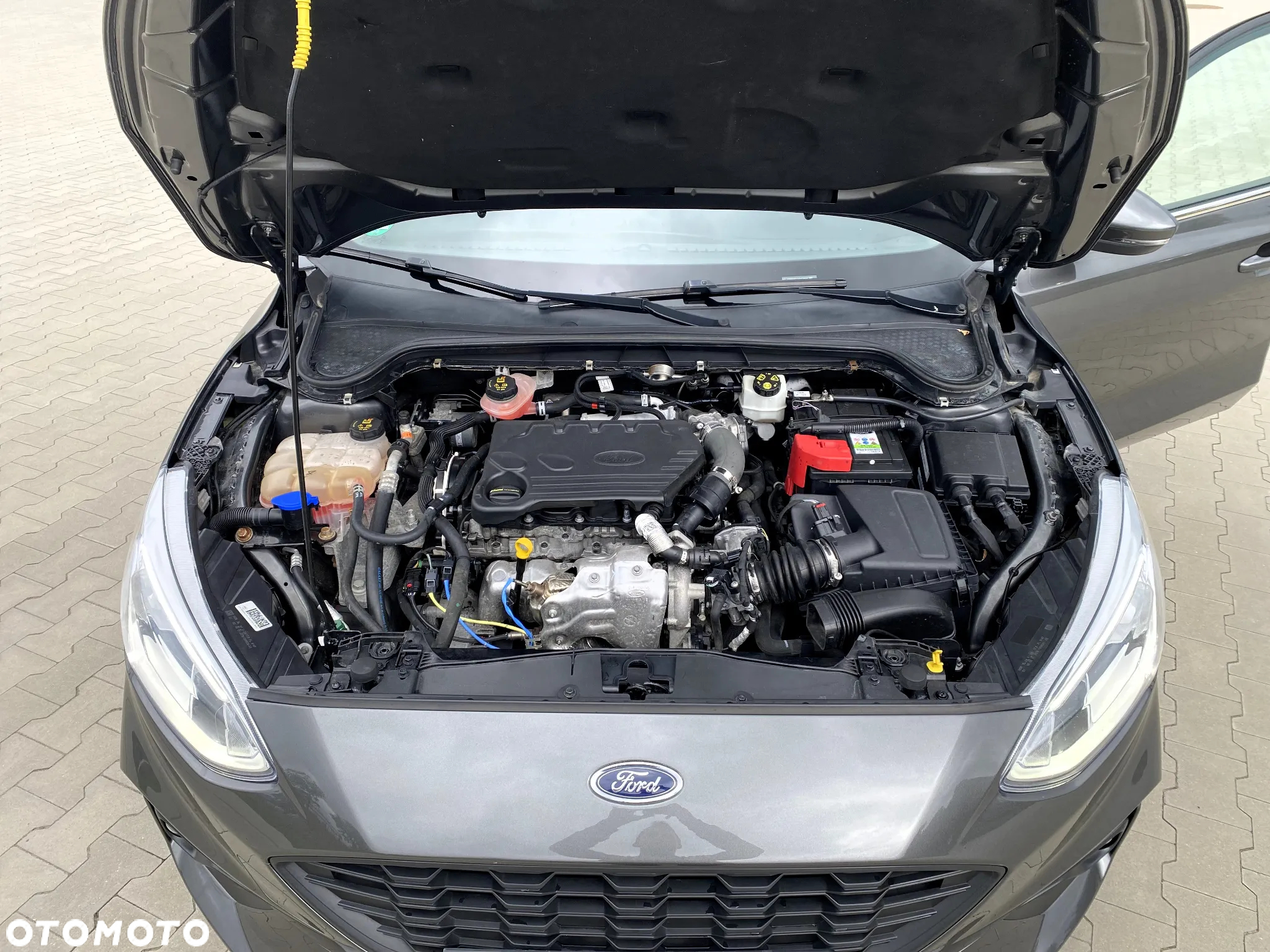 Ford Focus 1.5 EcoBlue Start-Stopp-System ACTIVE - 24