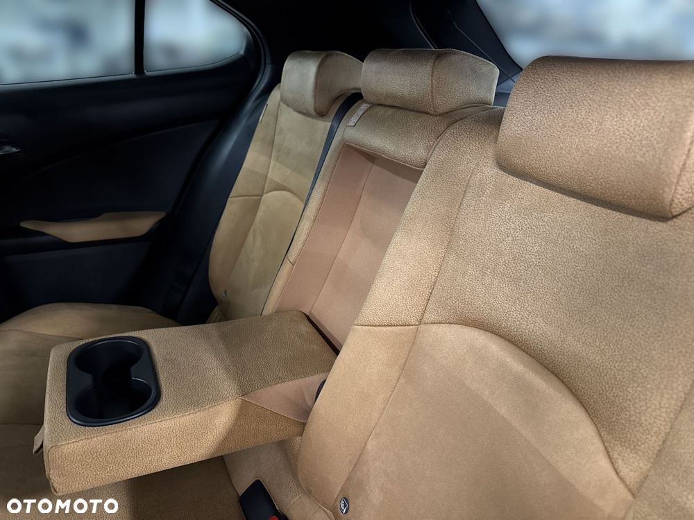 Lexus UX 250h GPF Business 2WD - 11