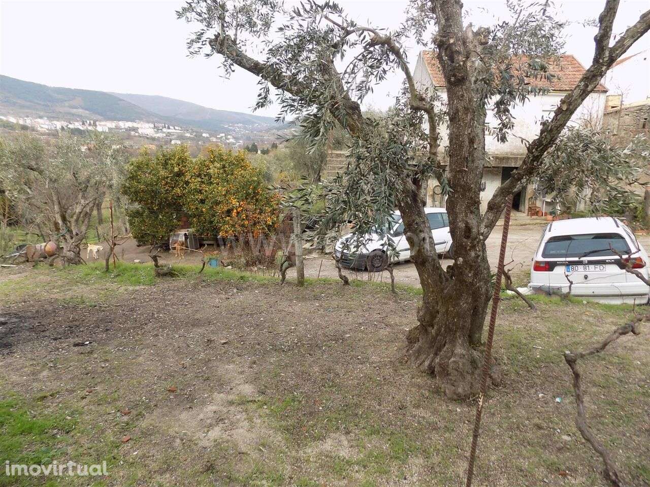 Quintinha T1 / Covilhã, Teixoso - Grande imagem: 3/6